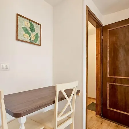 Olimpia 4 Novigrad Istria